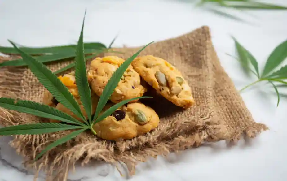 marijuana edible cookies